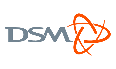 DSM